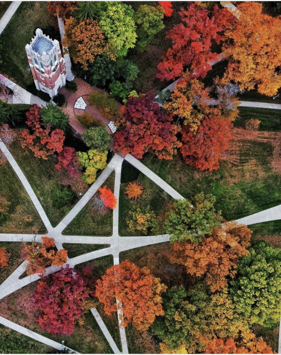 Fall MSU Aerial view .png